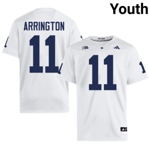 #11 White Lions LaVar Arrington Alumni College Football Youth Jersey 511797-402